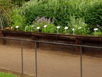 2003-05-31-heubach-17