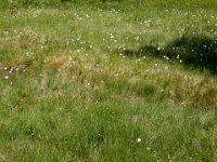2005-06-24-allgäu-13 : Allgäu, MTB