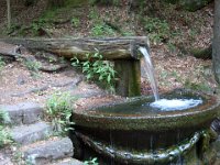 2006-05-25-trippstadt-28