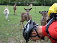 2006-05-27-trippstadt-68