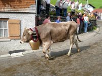 2007-09-17-allgaeu-viehscheid-104