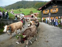 2007-09-17-allgaeu-viehscheid-148