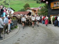 2007-09-17-allgaeu-viehscheid-20