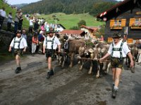 2007-09-17-allgaeu-viehscheid-45