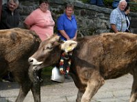 2007-09-17-allgaeu-viehscheid-85