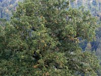 2007-09-17-allgaeu-mtb-27