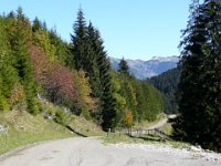 2007-09-21-allgaeu-44