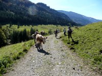 2007-09-21-allgaeu-62