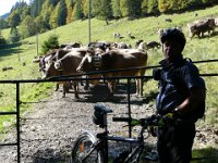 2007-09-21-allgaeu-63