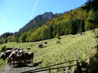 2007-09-21-allgaeu-64
