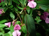 2007-09-21-allgaeu-69