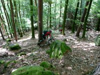 2009-05-11-nothweiler-115