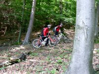 2009-05-11-nothweiler-118