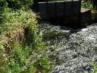 2009-05-12-nothweiler-21