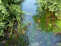 2009-05-12-nothweiler-23