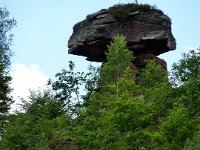 2009-05-12-nothweiler-89