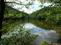 2009-05-13-nothweiler-110