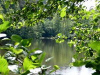2009-05-13-nothweiler-113