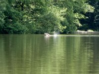 2009-05-13-nothweiler-123