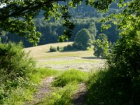 2009-05-13-nothweiler-188