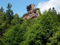 2009-05-13-nothweiler-40
