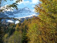 2011-10-23-Rappenalptal-9 : Allgäu, Allgäu Herbst 2011, MTB, Rappenalptal