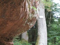 IMG 1322 : MTB, le Petite Pierre