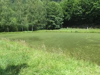 IMG 2041 : MTB, le Petite Pierre