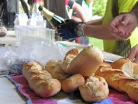 IMG 4990 : MTB, le Petite Pierre