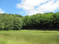 IMG 4999 : MTB, le Petite Pierre