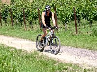 2015-Annweiler-2-22 : Annweiler am Triefels, MTB