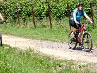 2015-Annweiler-2-23 : Annweiler am Triefels, MTB