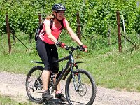 2015-Annweiler-2-24 : Annweiler am Triefels, MTB