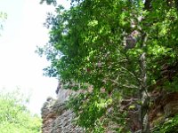 2015-Annweiler-3-17 : Annweiler am Triefels, MTB