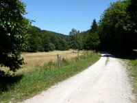 2008-07-15-rtk-15
