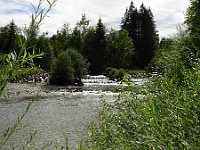 DSC03580