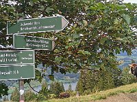 IMG 20200828 125447