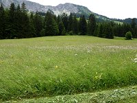 2011-Allgäu 02--5