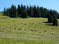 2011-Allgäu 03-11