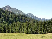 2011-Allgäu 03-22