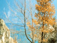 Scannen0022