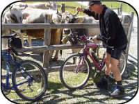 TA2003-01-103 : MTB, Transalp, Transalp 2003
