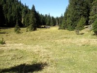kurz vor der Italienschen Grenze : MTB, Transalp, Transalp 2003
