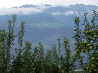 TA2003-05-21 : MTB, Transalp, Transalp 2003