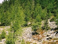TA2003-06-28 : MTB, Transalp, Transalp 2003