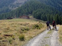 Die Spizenalp