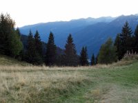 TA2003-07-214 : MTB, Transalp, Transalp 2003