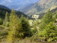TA 2004-08-Tag-27 : MTB, Transalp, Transalp 2004