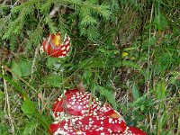 TA 2005-06-Tag-14 : MTB, Transalp, Transalp 2005