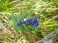 TA 2005-06-Tag-16 : MTB, Transalp, Transalp 2005
